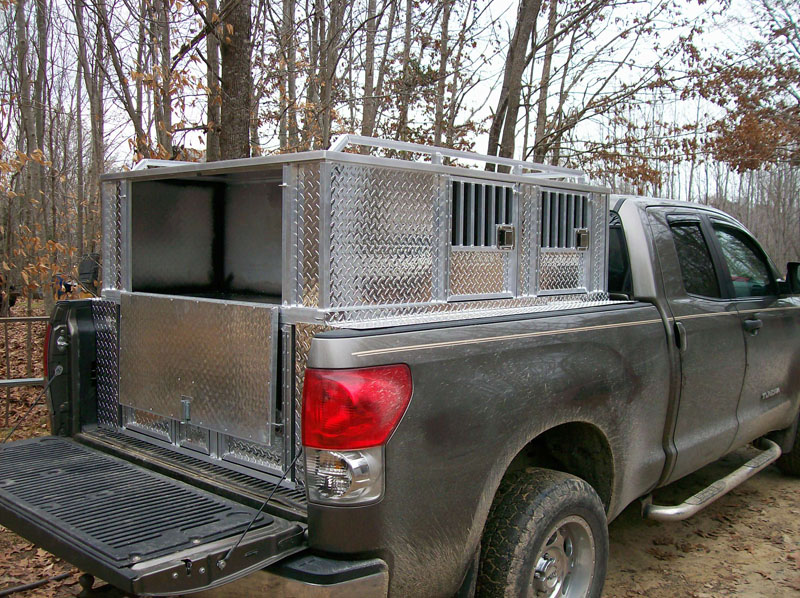 sp-custom-special-0442